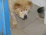     
: IMG_0106.jpg
: 65
:	99.5 
ID:	409659