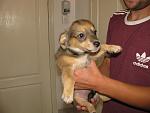     
: IMG_0102.jpg
: 55
:	67.3 
ID:	409746