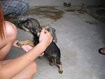     
: IMG_0113.jpg
: 37
:	84.0 
ID:	409757