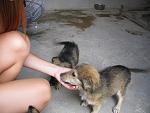     
: IMG_0114.jpg
: 37
:	86.9 
ID:	409761