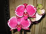     
: IMG_3098.jpg
: 50
:	148.7 
ID:	4099188
