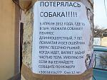     
: 2012-04-08 (107).jpg
: 217
:	148.8 
ID:	4100908