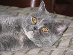     
: IMG_5035.jpg
: 15
:	185.4 
ID:	4104025