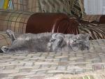     
: IMG_5042.jpg
: 16
:	128.9 
ID:	4104026