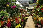     
: bbcc25c9a702.jpg
: 71
:	160.4 
ID:	4104611
