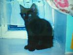     
: DSCN2644.jpg
: 35
:	83.7 
ID:	4105132