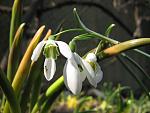     
: IMG_0828.jpg
: 14
:	50.0 
ID:	4105677