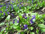     
: IMG_0851.jpg
: 15
:	104.1 
ID:	4105680