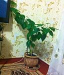     
: IMG_0184.jpg
: 27
:	138.1 
ID:	4108254