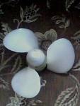     
: IMG0025A.jpg
: 5
:	11.9 
ID:	4109529