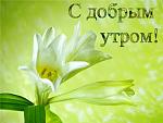     
: утро.jpg
: 8
:	50.4 
ID:	4109537