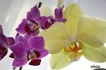     
: предложения 011.jpg
: 25
:	24.6 
ID:	4109837