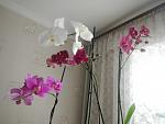     
: DSCN3104_новый размер.jpg
: 40
:	228.0 
ID:	4110715