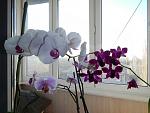     
: DSCN1776_новый размер.jpg
: 47
:	213.4 
ID:	4110717