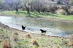     
: IMG_4965.jpg
: 37
:	152.0 
ID:	4111692