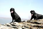     
: IMG_4935.JPG
: 33
:	176.8 
ID:	4111699