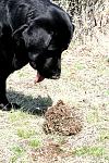     
: IMG_4950.jpg
: 30
:	144.9 
ID:	4111701