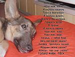    
: WpPYtWFCuOw.jpg
: 65
:	81.4 
ID:	4113537