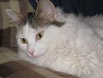     
: IMG_2905.jpg
: 15
:	105.2 
ID:	4116996