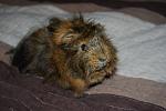    
: DSC_0741.jpg
: 33
:	84.6 
ID:	4118438