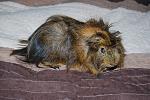     
: DSC_0742.jpg
: 34
:	161.7 
ID:	4118439