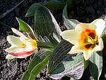     
: S4025409.jpg
: 21
:	177.3 
ID:	4118947