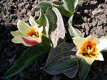     
: S4025406.jpg
: 16
:	182.1 
ID:	4118963
