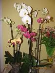     
: IMG_6779.jpg
: 27
:	101.7 
ID:	4119123