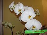     
: IMG_6763.jpg
: 23
:	96.7 
ID:	4119126