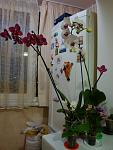     
: DSC02312.jpg
: 36
:	86.4 
ID:	4119382