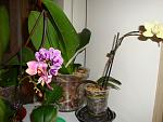     
: DSC02306.jpg
: 34
:	109.5 
ID:	4119392