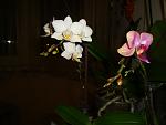     
: DSC02305.jpg
: 29
:	69.3 
ID:	4119393