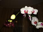     
: DSC02307.jpg
: 33
:	80.4 
ID:	4119394