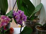     
: DSC02326.jpg
: 37
:	117.3 
ID:	4119403