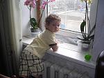     
: DSCN2714.jpg
: 44
:	119.9 
ID:	4121716