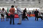     
: ce20eccd8893.jpg
: 26
:	51.2 
ID:	4122146