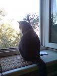     
: DSC05002.jpg
: 23
:	84.1 
ID:	4122649