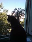    
: DSC05003.jpg
: 23
:	104.8 
ID:	4122650