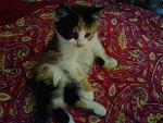     
: DSC00394.jpg
: 28
:	106.7 
ID:	412538