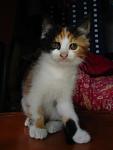     
: DSC01221.jpg
: 37
:	29.6 
ID:	412544