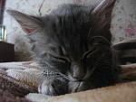     
: IMG_0218.jpg
: 34
:	76.4 
ID:	412602