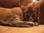     
: IMG_0212.jpg
: 39
:	83.8 
ID:	412611