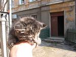     
: IMG_1918.jpg
: 36
:	132.9 
ID:	4126156