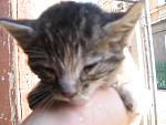     
: IMG_1919.jpg
: 35
:	104.6 
ID:	4126160