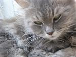     
: IMG_0212.jpg
: 33
:	94.5 
ID:	412632