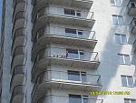     
: SDC10016.jpg
: 116
:	146.6 
ID:	4128376