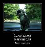     
: 1332473287_026.jpg
: 24
:	43.9 
ID:	4128604