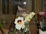     
: DSC02205.jpg
: 23
:	126.7 
ID:	4128924