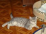     
: DSC02055.jpg
: 43
:	131.6 
ID:	4129449