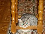     
: DSC02080.jpg
: 36
:	154.4 
ID:	4129451